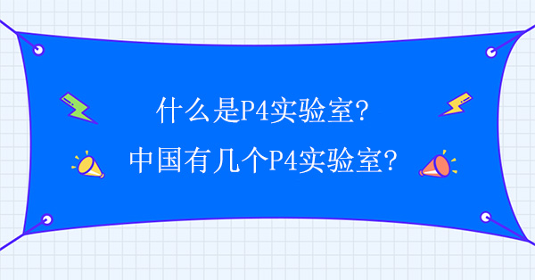 ʲôP4(sh)(yn)?Ї(gu)Ўׂ(g)P4(sh)(yn)